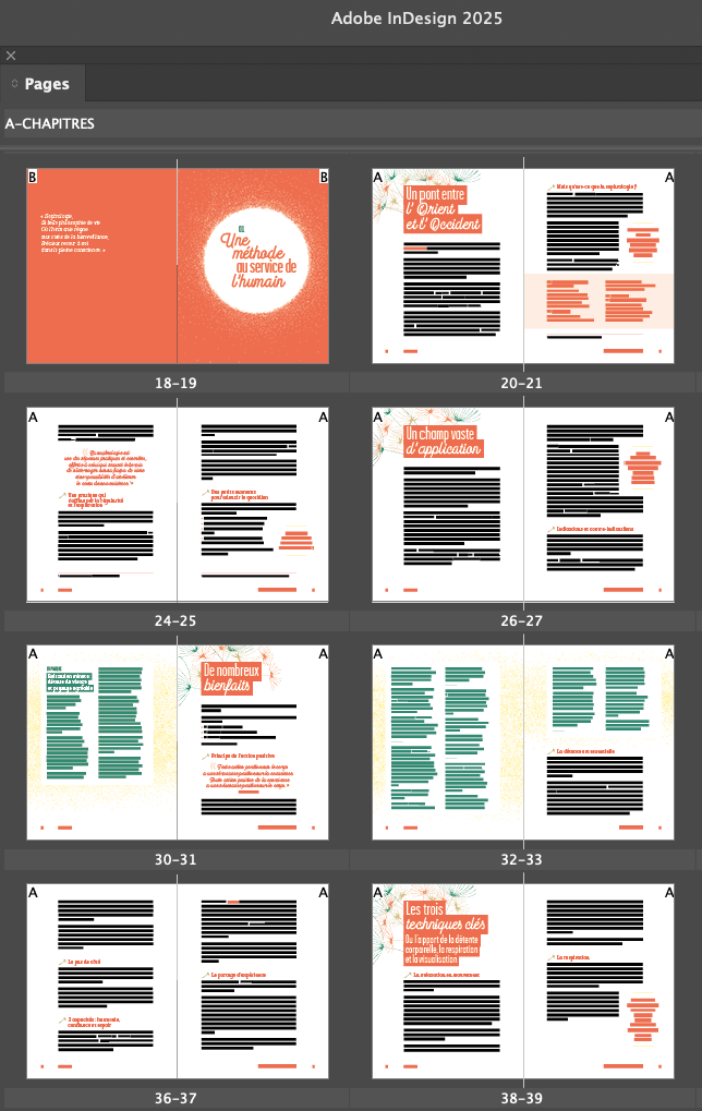 Capture-ch_fer-2 Mise en page livre InDesign